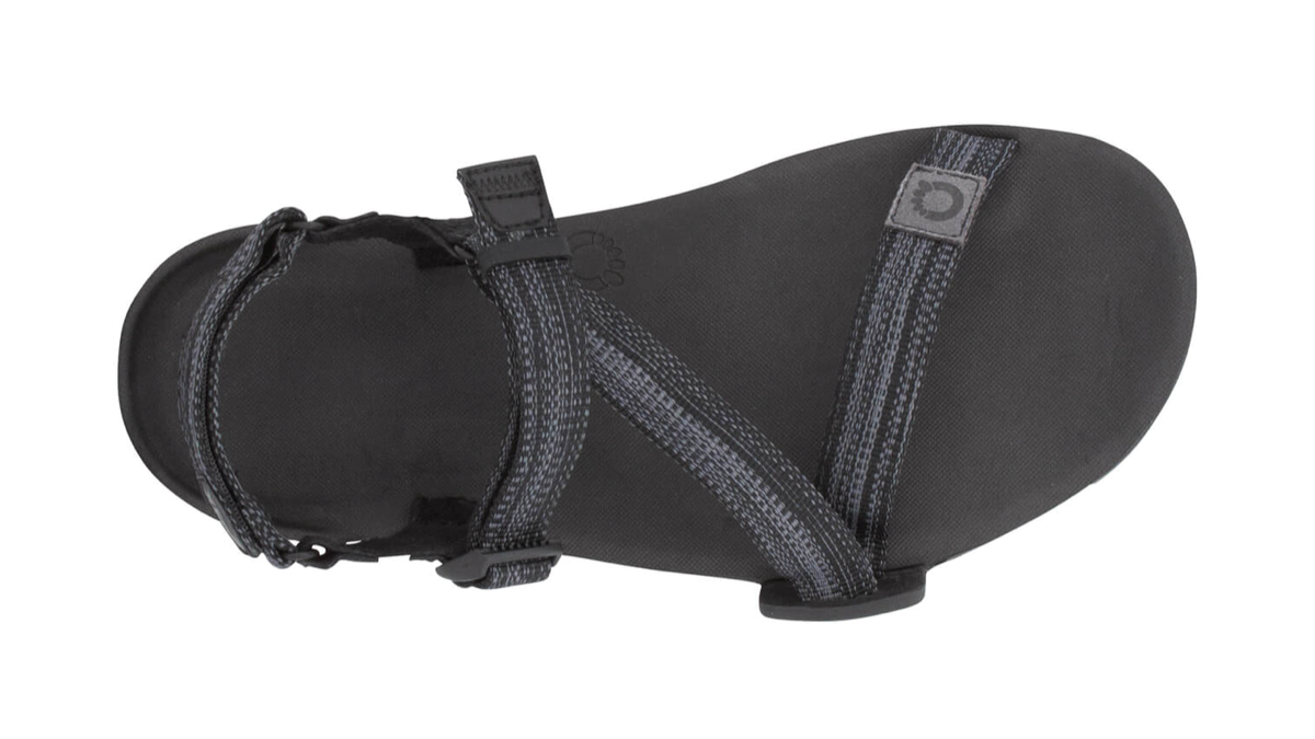 Barfußsandale, offene Zehen und offener Fersenbereich, Riemenkonstruktion mit verstellbaren Riemen, profilierte Sohle, Einzelschuh, Draufsicht