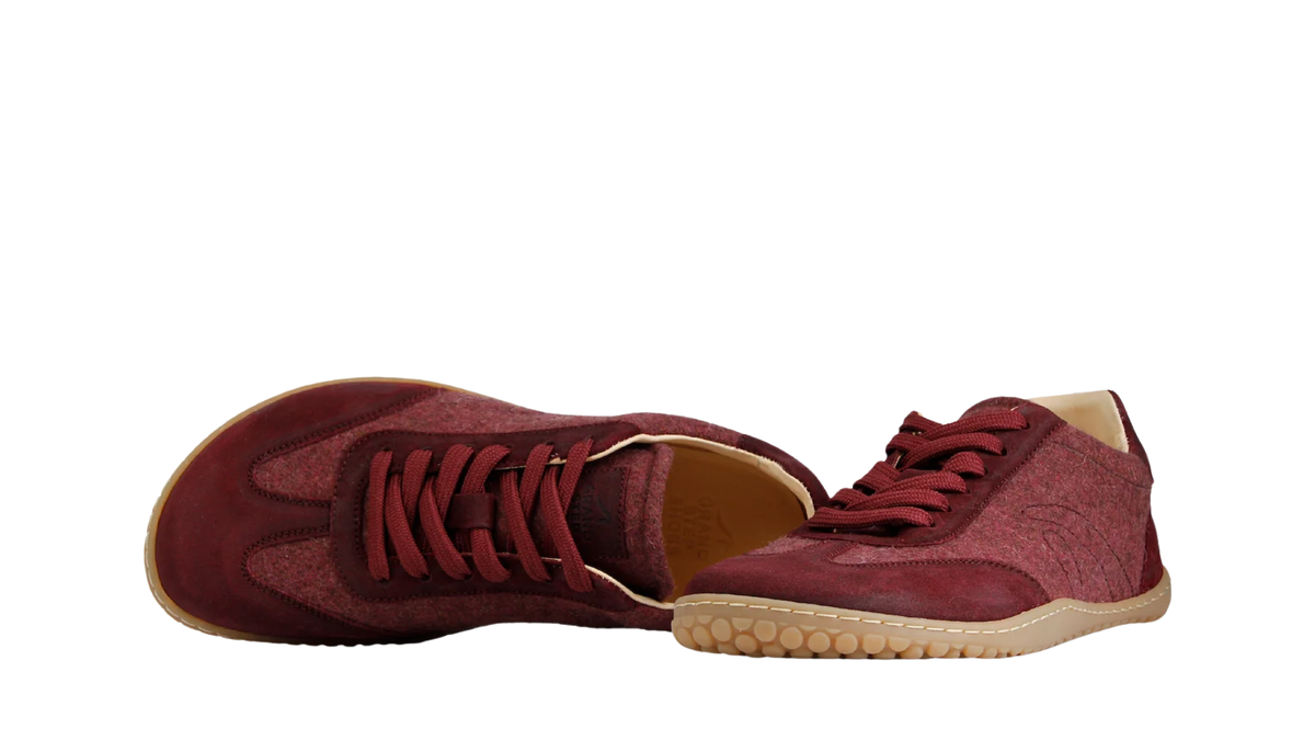 Paar Barfuß-Halbschuhe für Erwachsene mit Schnürung und breiter Zehenbox, Draufsicht und schräge Vorderansicht