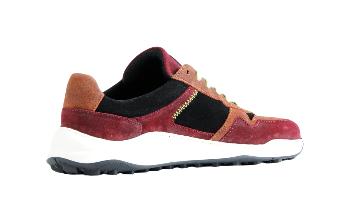 Sneaker für Erwachsene mit Schnürung und flacher Sohle, Seitenansicht innen