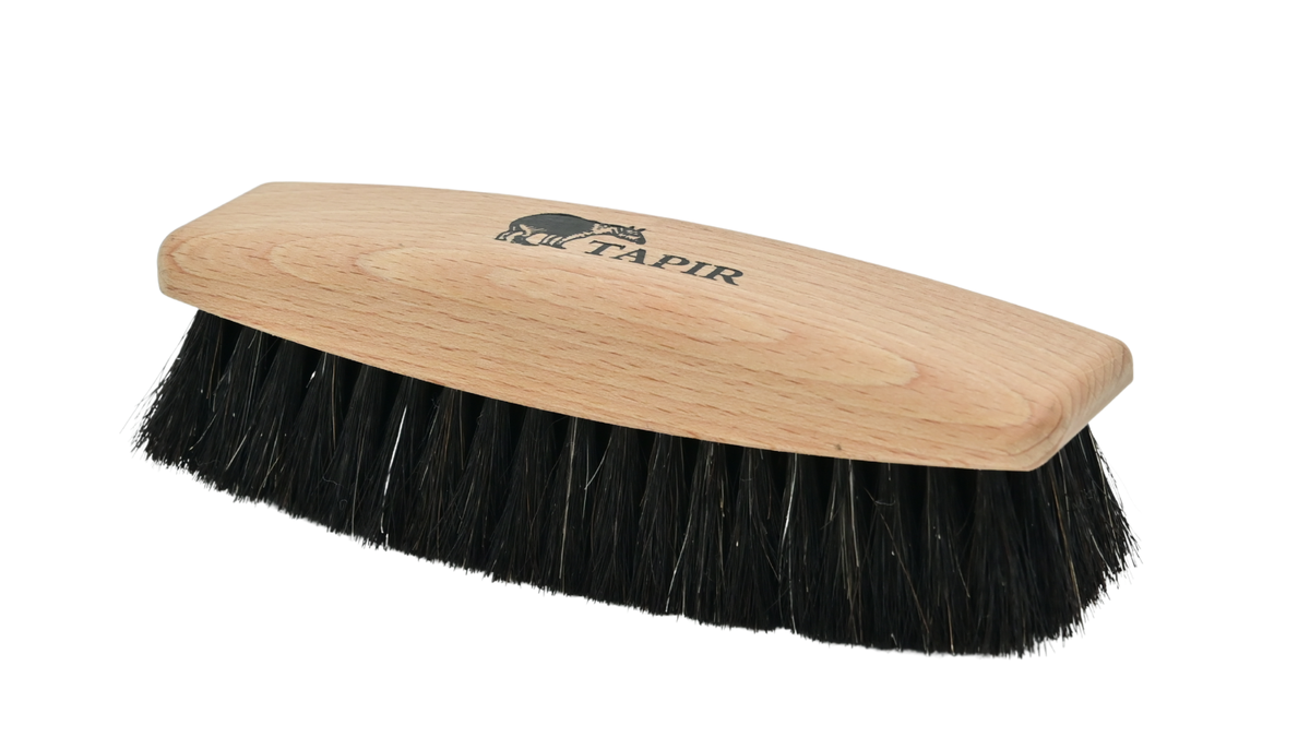 Schuhpflegebürste von Tapir mit Holzgriff, abgerundeten Kanten und dichtem Borstenbesatz, schräge Vorderansicht