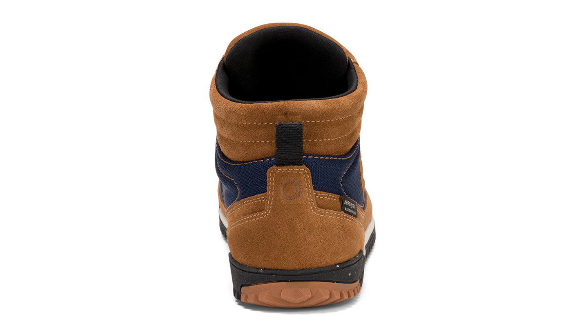 Knöchelhoher Barfußwanderschuh für Erwachsene als einzelner Schuh, geschlossener Fersenbereich, Rückansicht.