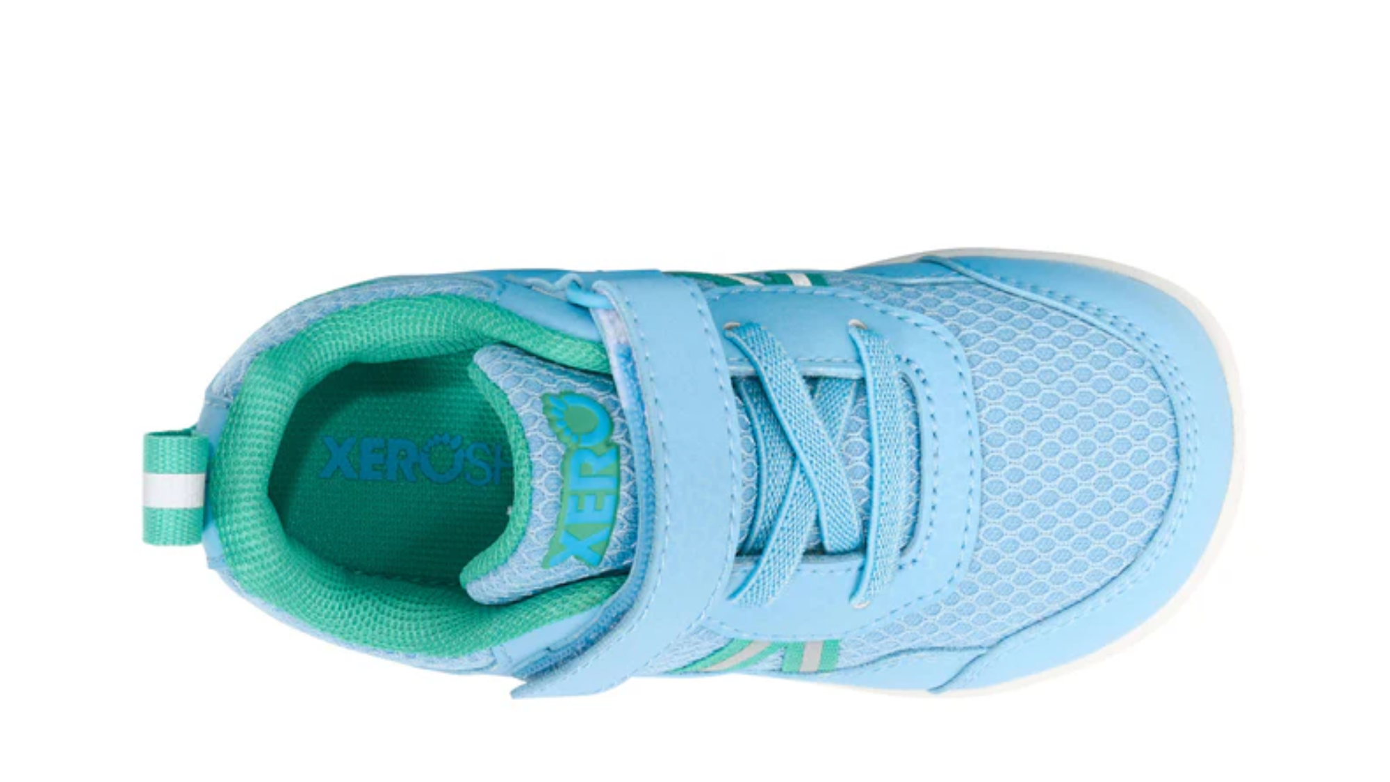 Barfußschuh für Kinder als Einzelschuh, geschlossene Zehen und geschlossener Fersenbereich, Klettverschluss und Schnürung, flexible Sohle, Draufsicht