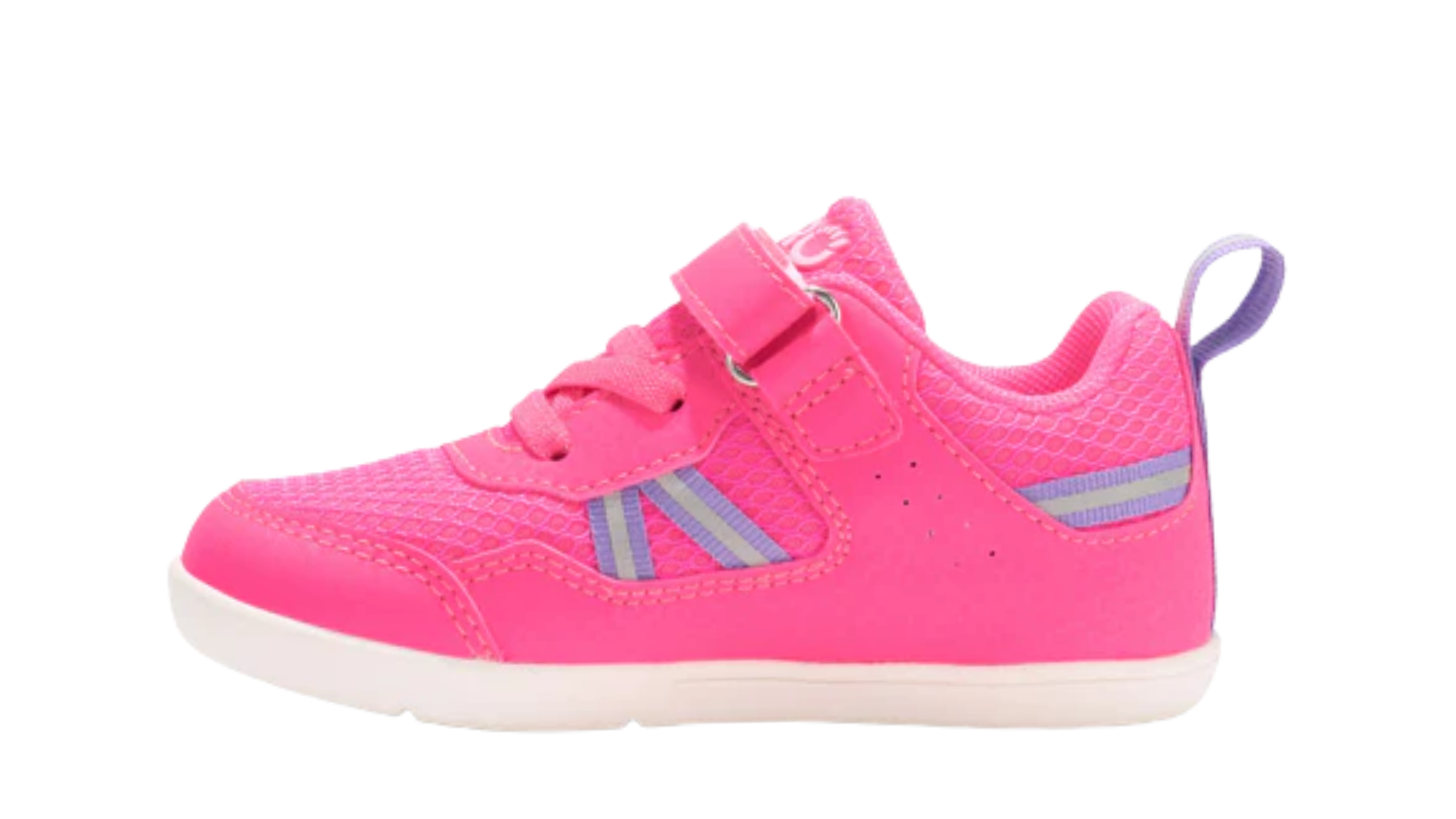 Barfußschuh für Kinder als Einzelschuh, geschlossene Zehen und geschlossener Fersenbereich, Klettverschluss und Schnürung, flexible Sohle, Seitenansicht innen