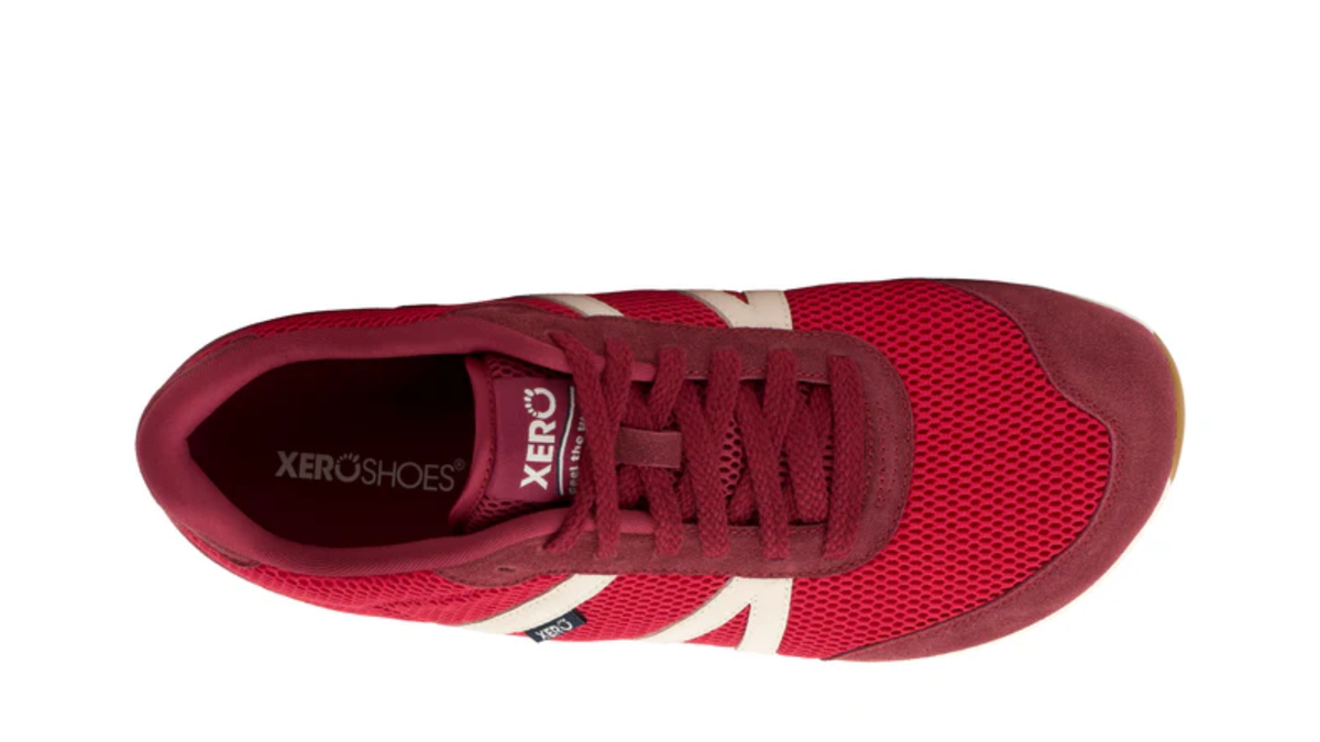 Barfußschuh, geschlossene Zehen und geschlossener Fersenbereich, Schnürung, profilierte Sohle, Einzelschuh, Draufsicht
