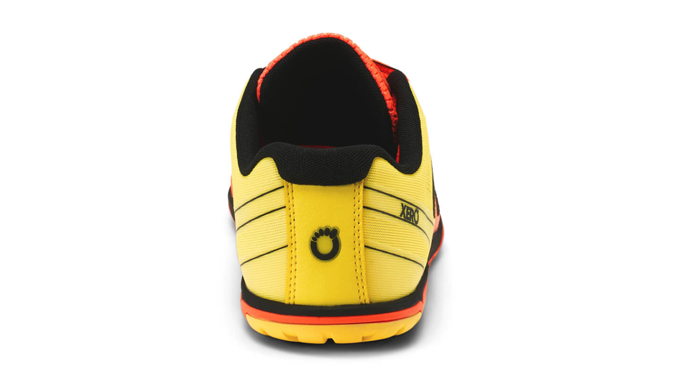 Barfußschuh, geschlossene Zehen und geschlossener Fersenbereich, Schnürung, profilierte Sohle, Einzelschuh, Rückansicht
