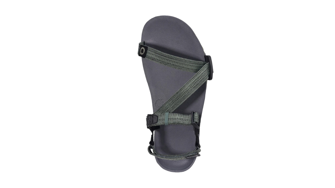 Barfußsandale, offene Zehen und offener Fersenbereich, Riemenkonstruktion mit verstellbaren Riemen, profilierte Sohle, Draufsicht, einzelner Schuh