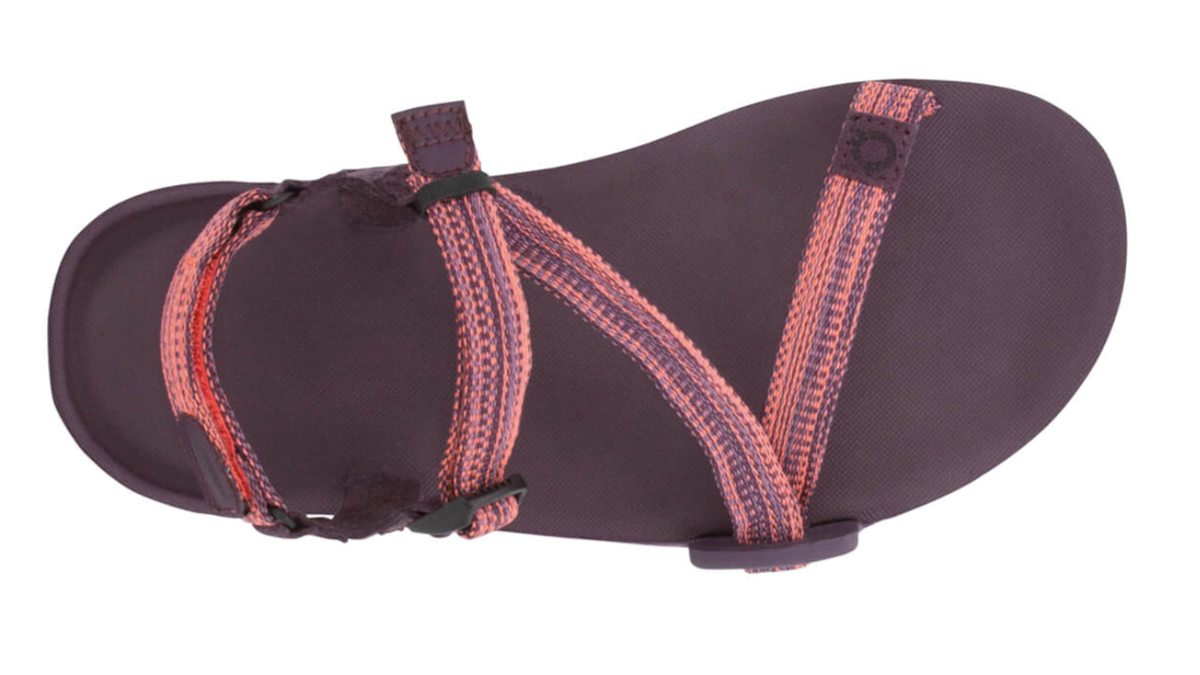 Barfußsandale, offene Zehen und offener Fersenbereich, Riemenkonstruktion mit verstellbaren Riemen, profilierte Sohle, Einzelschuh, Draufsicht