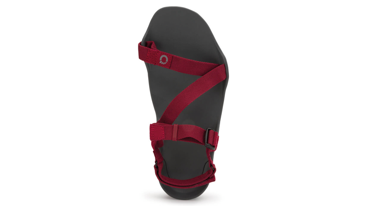 Barfußsandale, offene Zehen und offener Fersenbereich, Riemenkonstruktion mit verstellbaren Riemen, flexible Sohle, Einzelschuh, Draufsicht