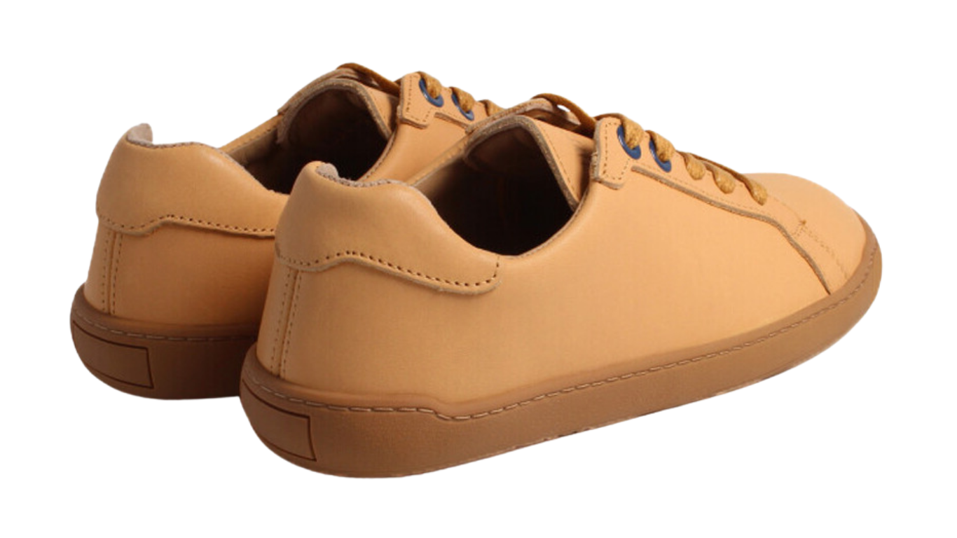 Barfußschuh für Erwachsene mit breiter Zehenbox, flexibler Sohle und Schnürung, geschlossene Zehen und geschlossener Fersenbereich, Rückansicht in schräger Perspektive.