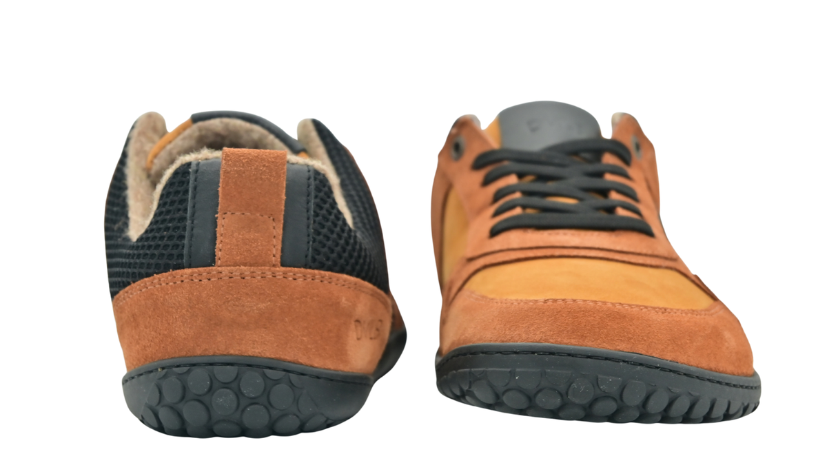 Gefütterte Barfußschuhe für Erwachsene als Paar mit geschlossener Ferse, Schnürung und hochgezogener Sohle, Rückansicht