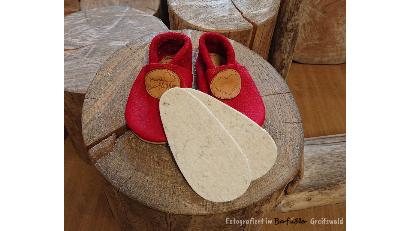 Barfußhausschuh für Kinder mit geschlossener Zehenbox und geschlossenem Fersenbereich, elastischer Einstieg ohne Verschluss, flexible Sohle, Draufsicht als Paar