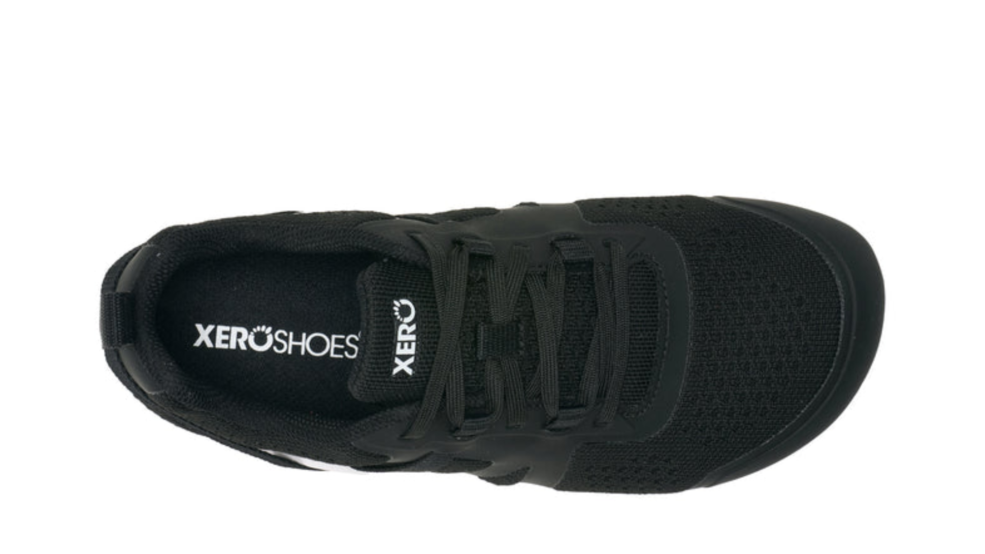 Barfußschuh mit Schnürung, breite Zehenbox, flexible Sohle, geschlossener Fersenbereich, Draufsicht, einzelner Schuh