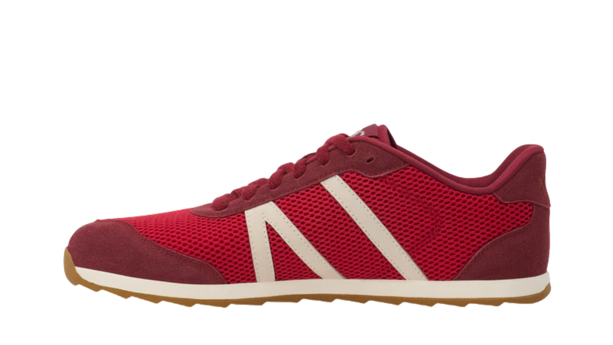 Barfußschuh, geschlossene Zehen und geschlossener Fersenbereich, Schnürung, profilierte Sohle, Einzelschuh, Seitenansicht innen