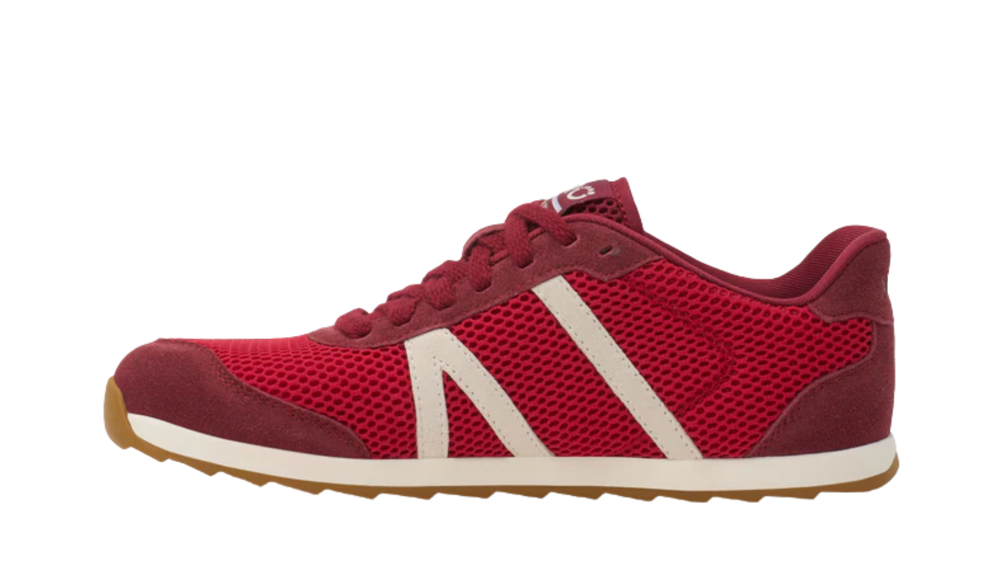 Barfußschuh, geschlossene Zehen und geschlossener Fersenbereich, Schnürung, profilierte Sohle, Einzelschuh, Seitenansicht innen