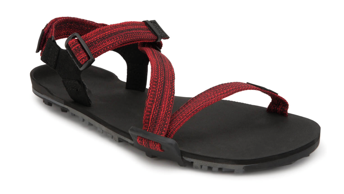 Barfußsandale, offene Zehen und offener Fersenbereich, Riemenkonstruktion mit verstellbaren Riemen, profilierte Sohle, Einzelschuh, schräge Vorderansicht