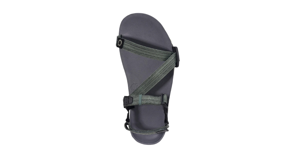 Barfußsandale, offene Zehen und offener Fersenbereich, Riemenkonstruktion mit verstellbaren Riemen, profilierte Sohle, Draufsicht, einzelner Schuh