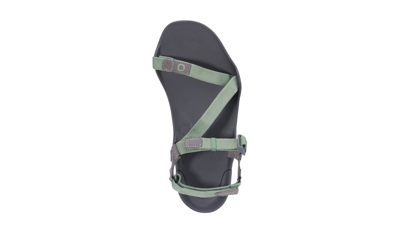 Barfußsandale, offene Zehen und offener Fersenbereich, Riemenkonstruktion mit verstellbaren Riemen, flexible Sohle, Einzelschuh, Draufsicht
