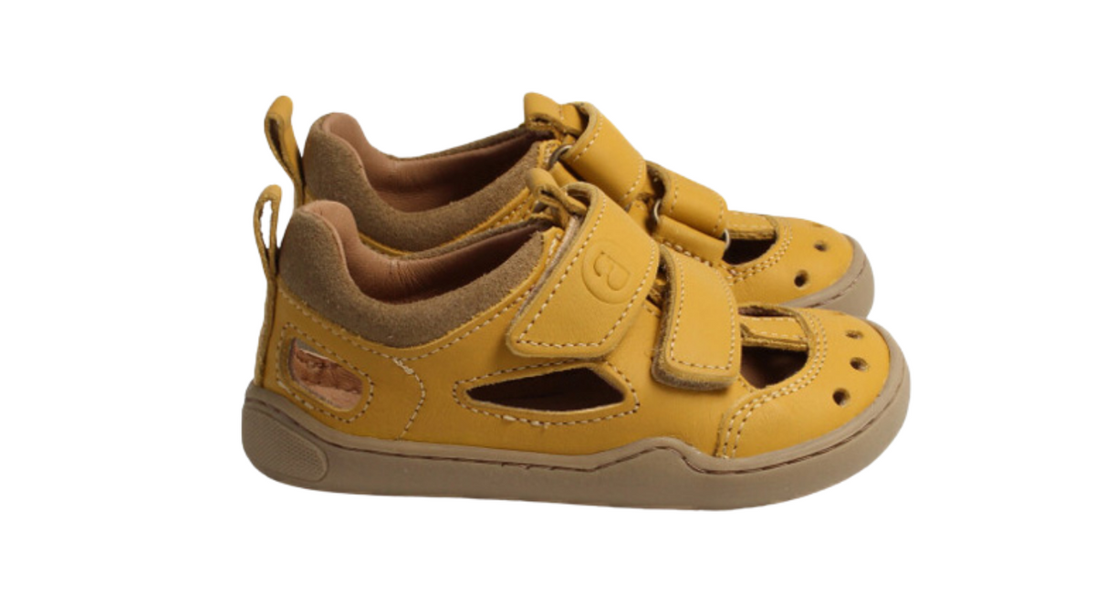 bLifestyle-SALAMANDRA-2022-maisgelb-BN2232L40